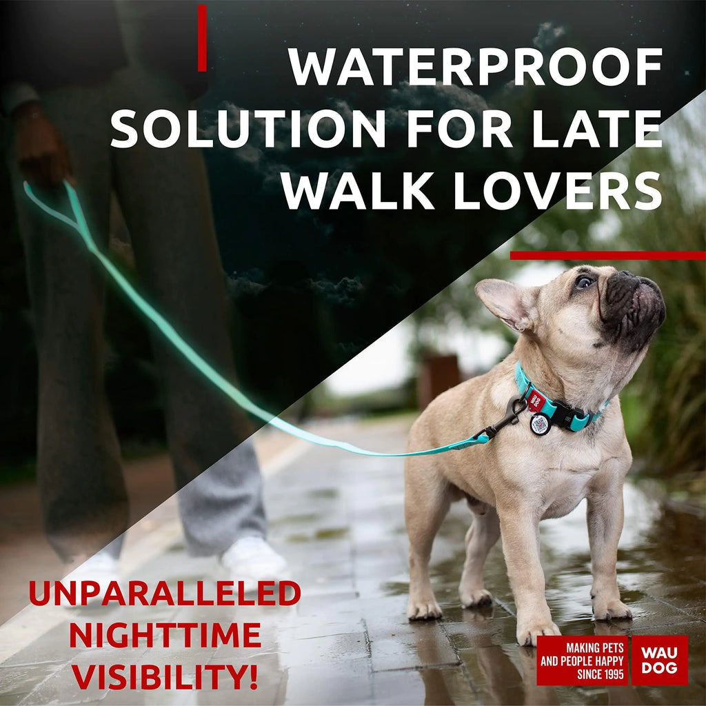 Dog Leash 6 Ft Anti Slip Dog Leash for Medium Small Dogs Glow Dark