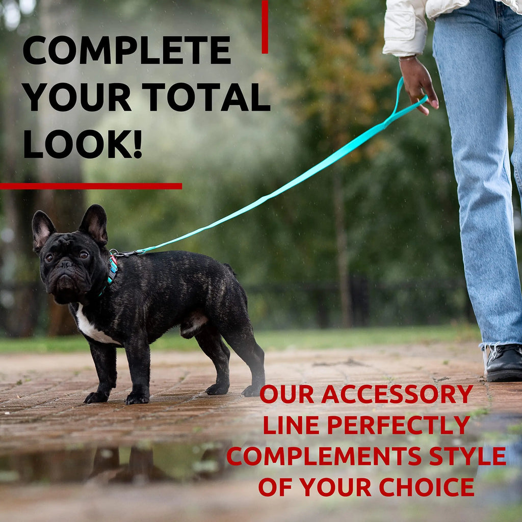 Dog Leash 6 Ft Anti Slip Dog Leash for Medium Small Dogs Glow Dark