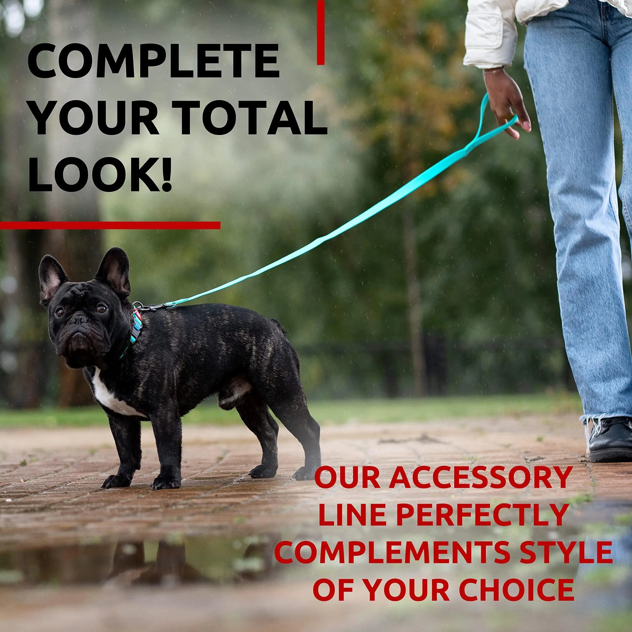 Dog Leash 6 Ft Anti Slip Dog Leash for Medium Small Dogs Glow Dark