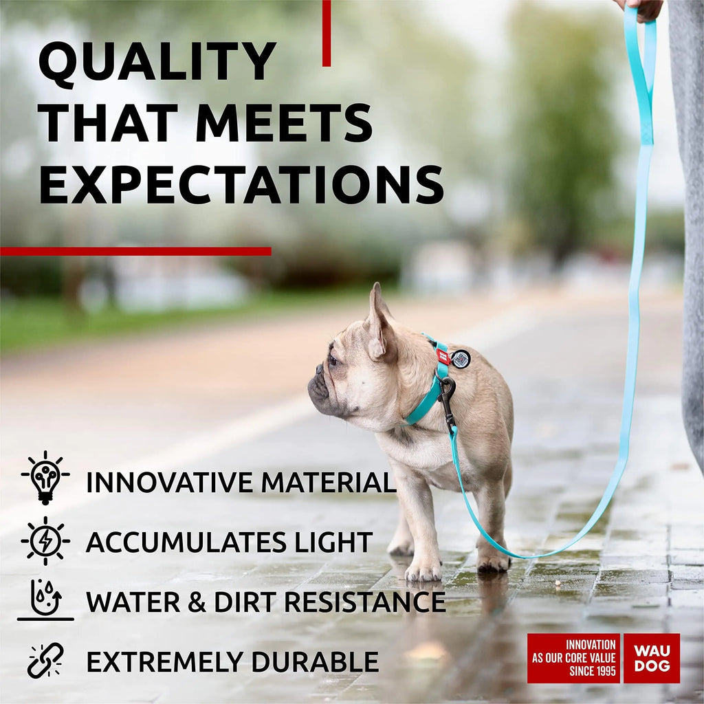 Dog Leash 6 Ft Anti Slip Dog Leash for Medium Small Dogs Glow Dark