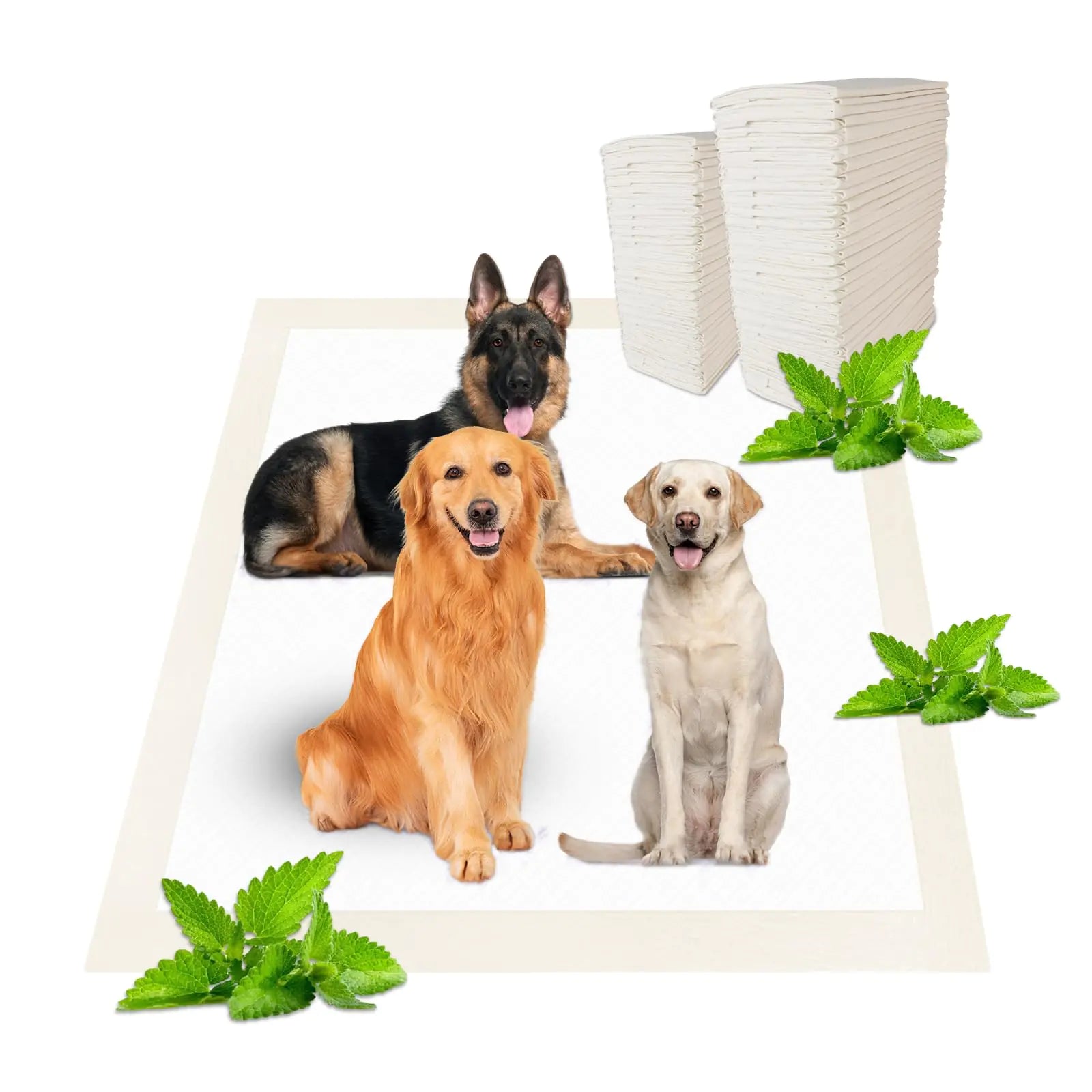 Scented, Super Absorbent & Leak-Proof Puppy Pee Pads - 30 Count